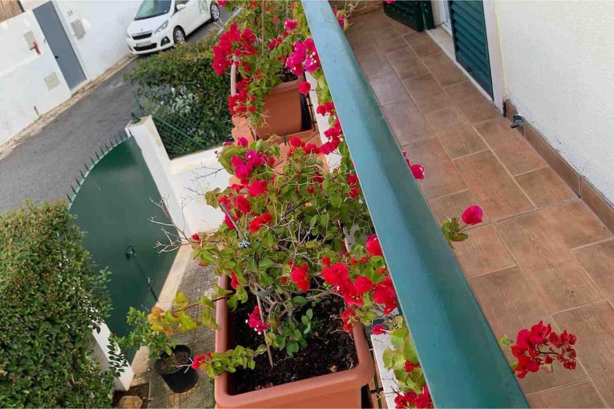 Casa de Férias Maison De La Marina Piscine *